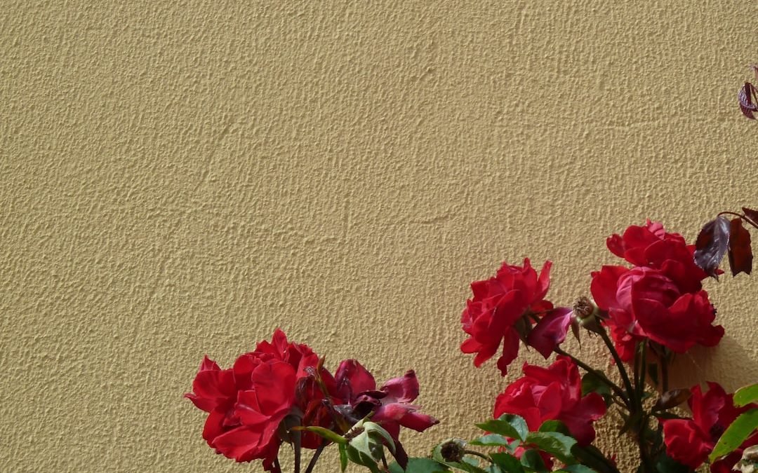 Photo paint for exterior walls